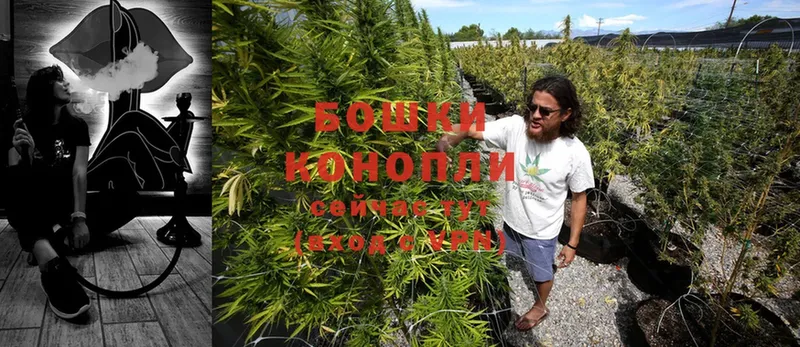 Конопля Ganja  omg онион  Лесосибирск 